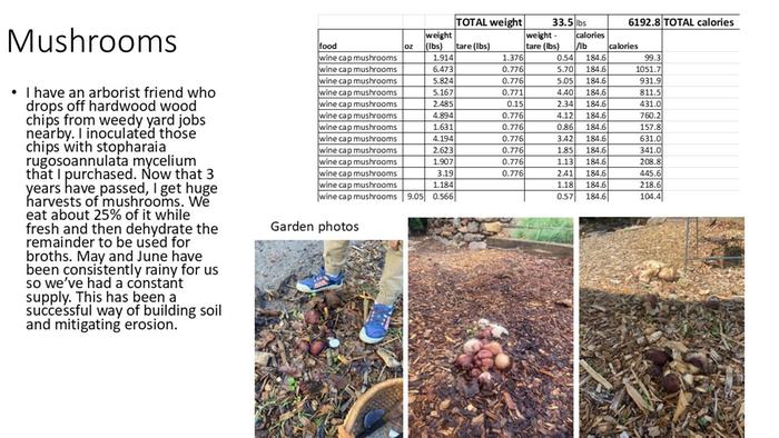 mushroom summary