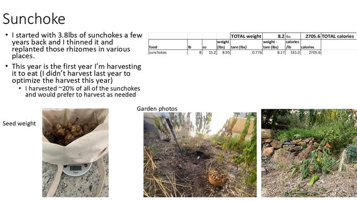 sunchoke summary