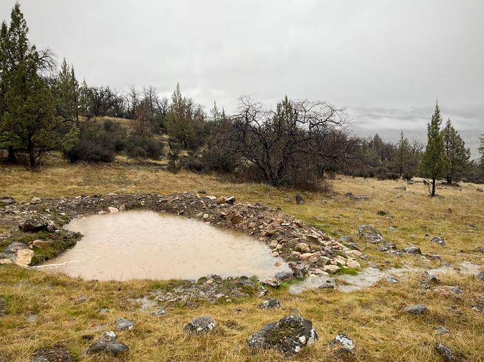 [Thumbnail for IMG_9957.jpg]