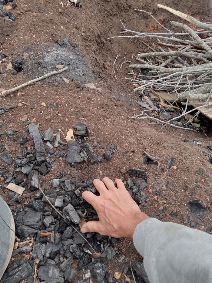 Collecting charcoal from around my scrap wood burn pit
