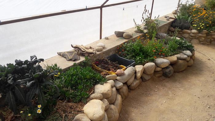 Worm bins in raised bed to protect against freezing