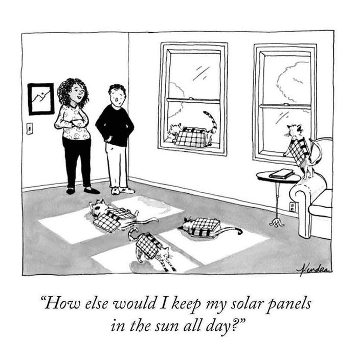 How else would I keep my solar panels in the sun all day?