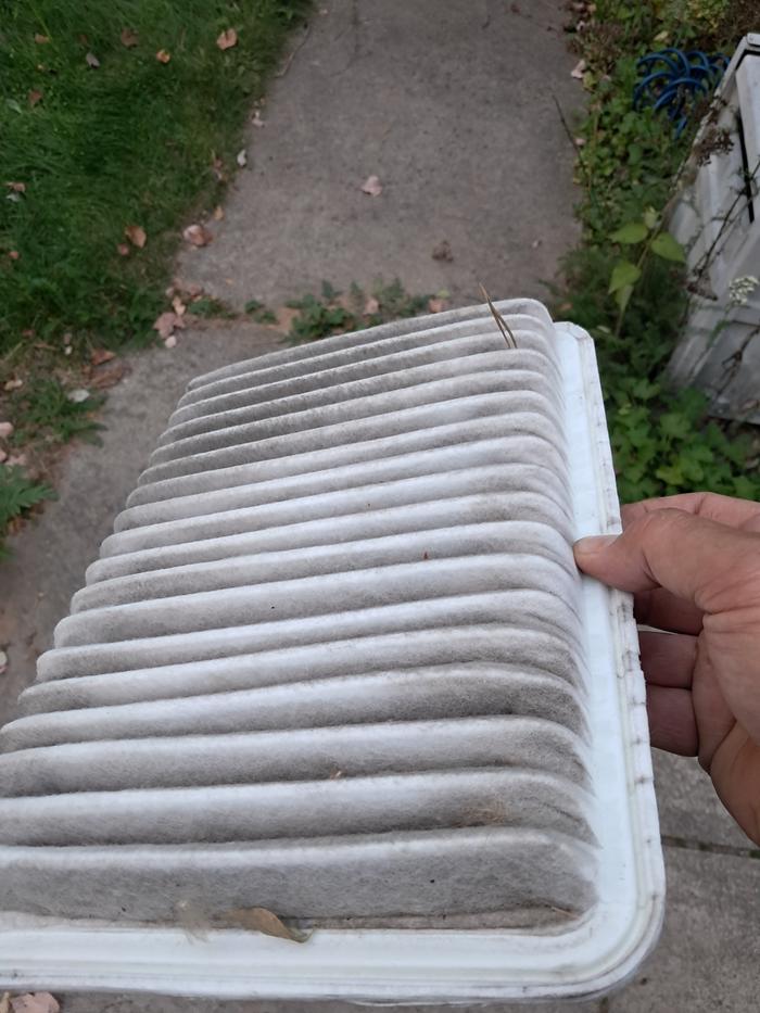 Air filter a bit dirty