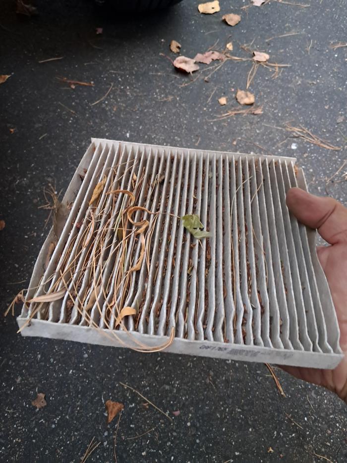 Cabin air filter - ewww