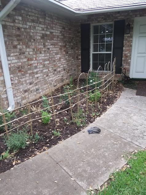 rustic stick fence