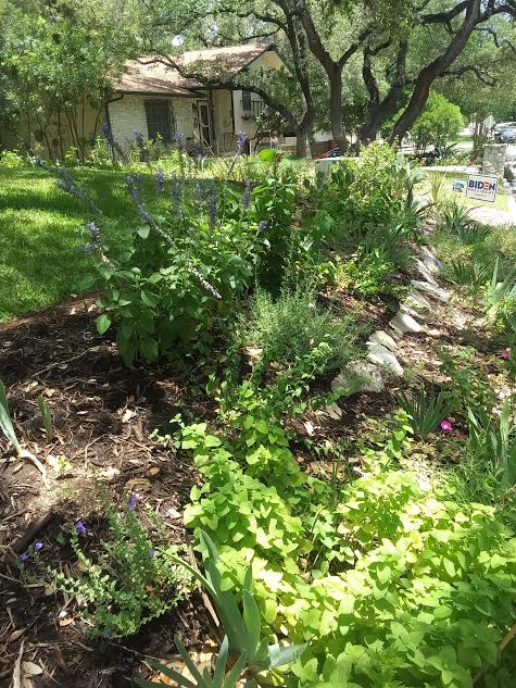 Pollinator habitat