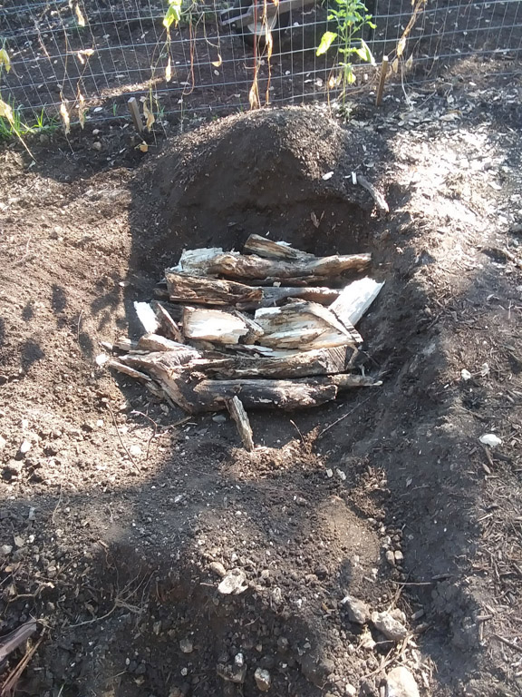 buried wood in garden bed