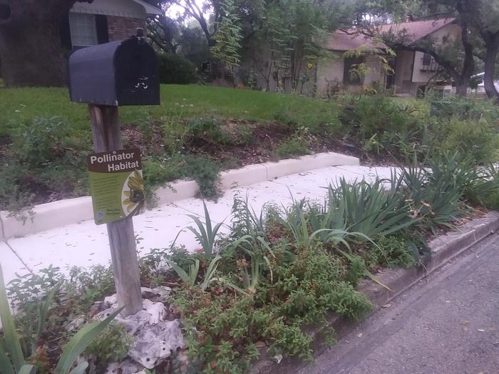 Pollinator garden