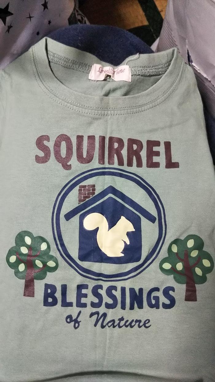 Squirrel. Blessings of nature.