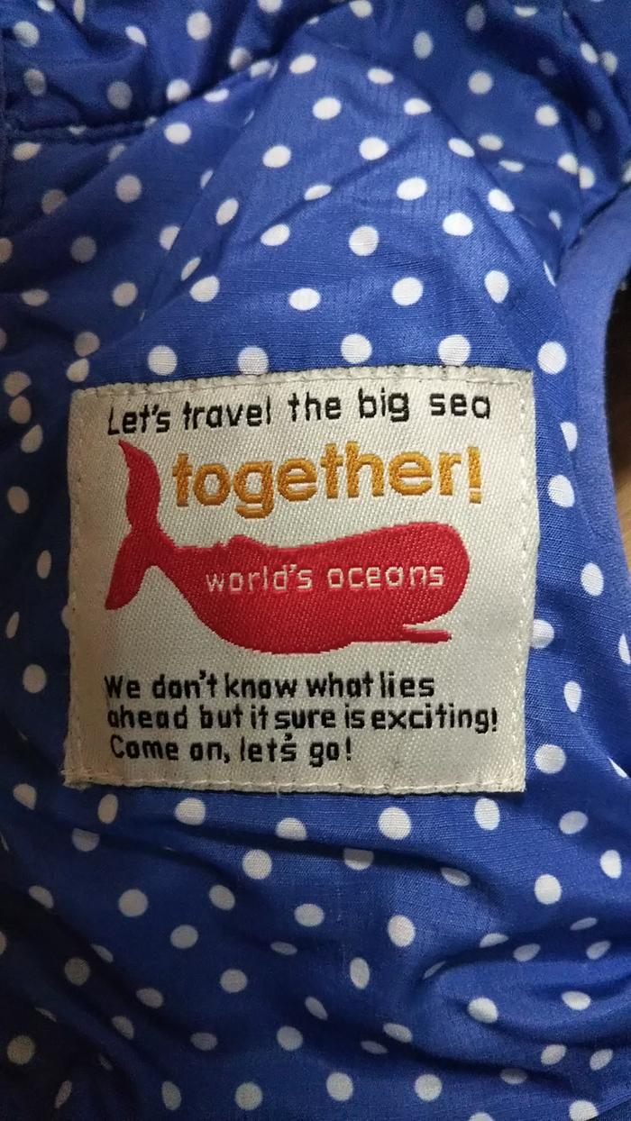 Let's travel the big sea together. World's oceans. We don't know what lies ahead but it sure is exciting. Come on, let's go!
