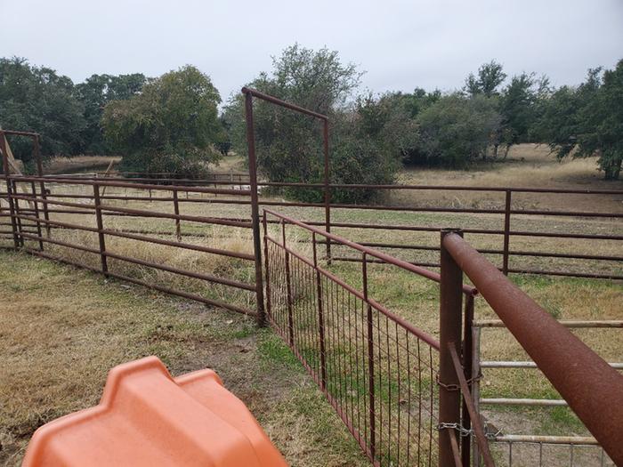 cattle alleyway funnel