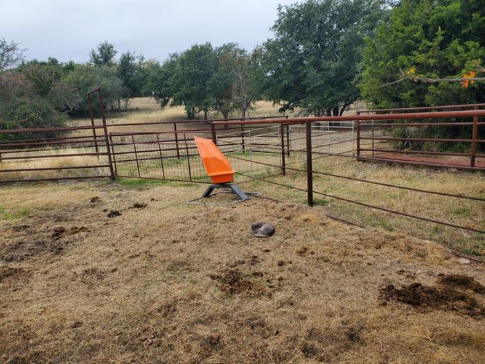 cattle handling facility