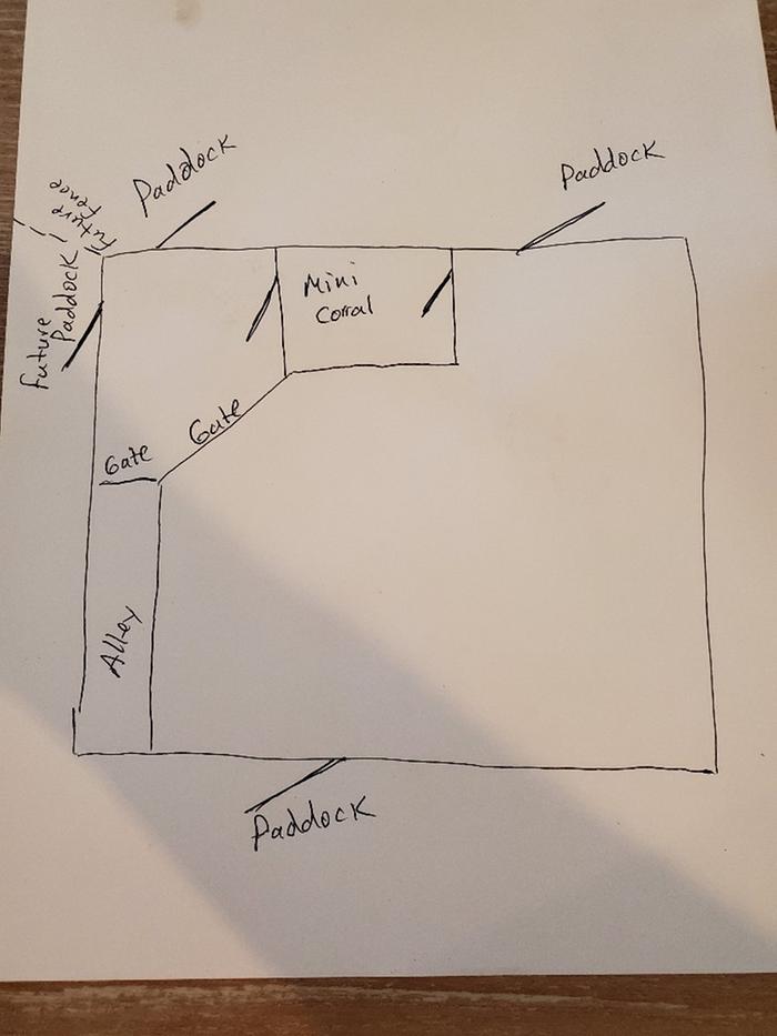 cattle handling facility schematic