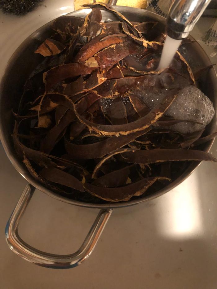 Honey locust pods with seeds removed added to pot filled with water