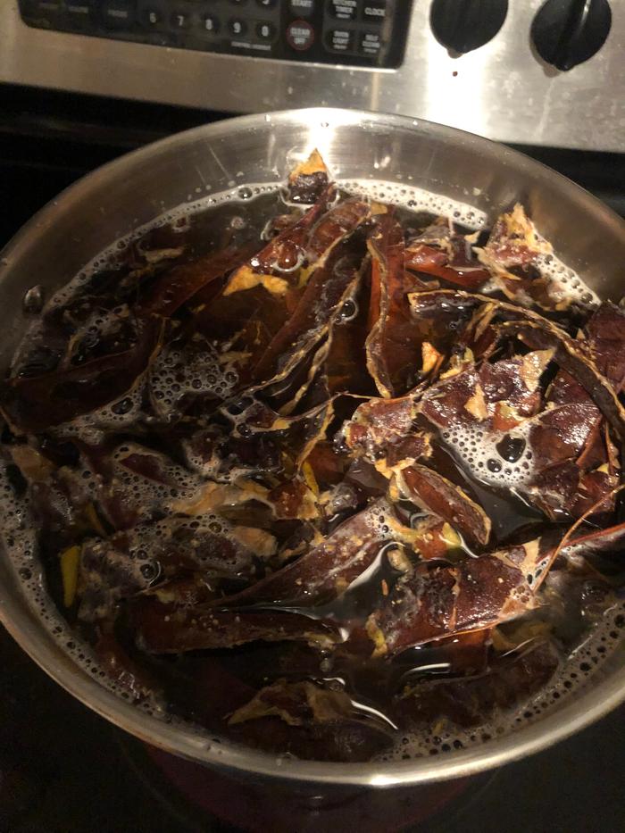 Honey locust pods simmering in a pot before reaching a boil