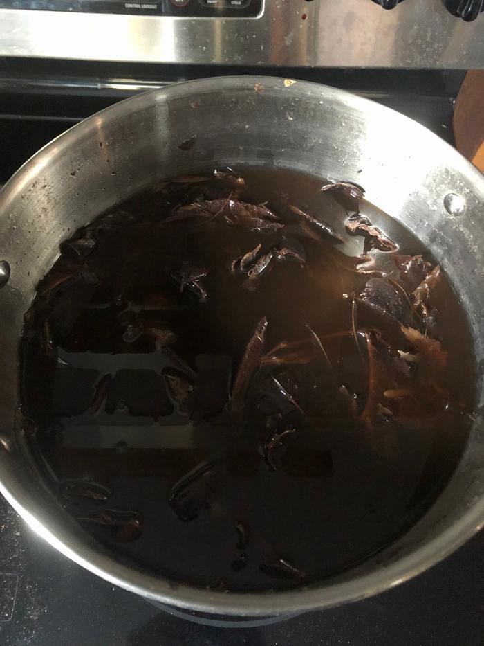 Honey locust pods after boiling 15 minutes and then soaking overnight while covered