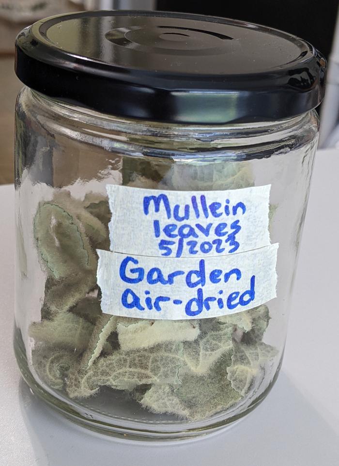 Dried mullein leaves in their labeled jar