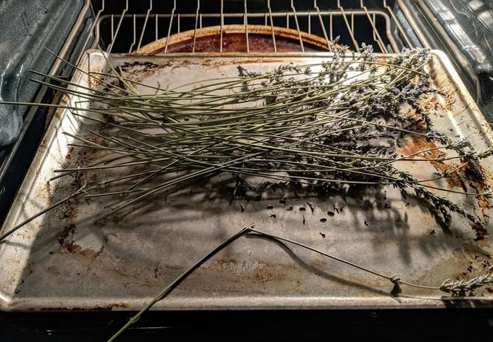 lavender cuttings after drying in the oven