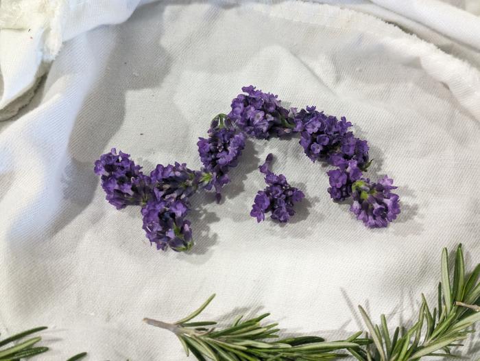 Lavender blossoms laid out to dry