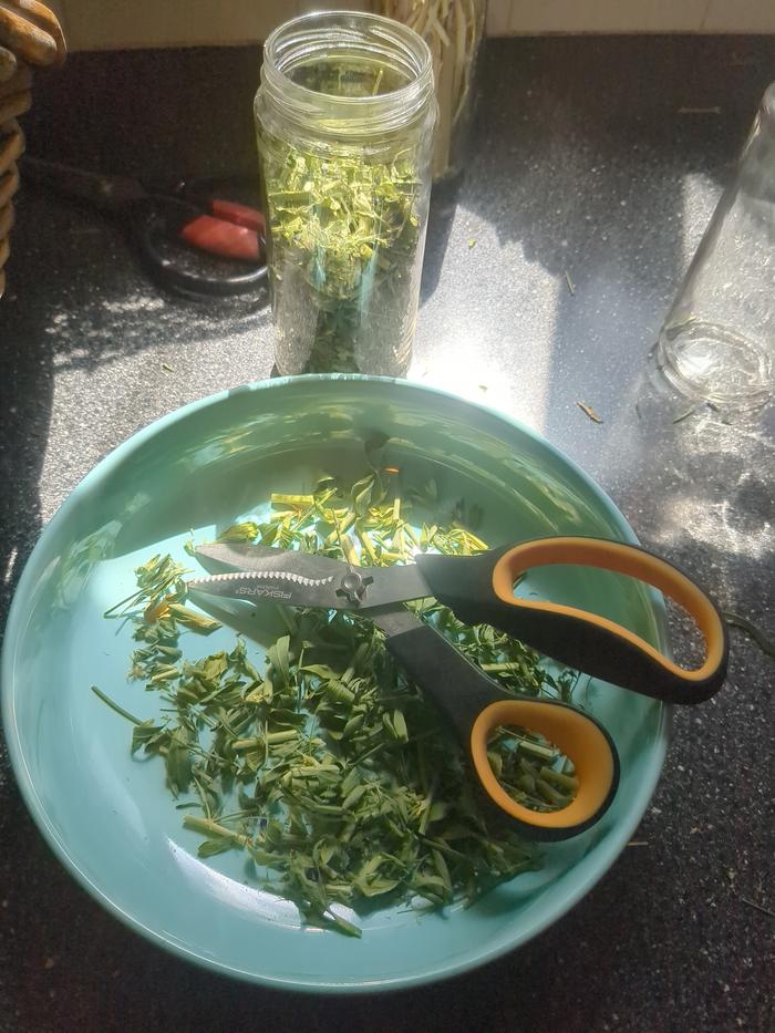 Cutting up the dried alfalfa.