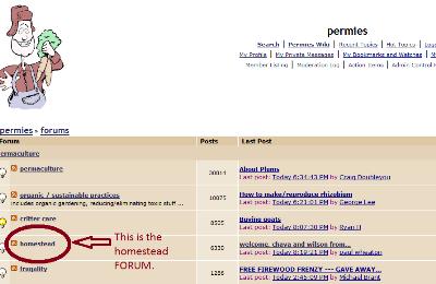 This is the homestead forum
