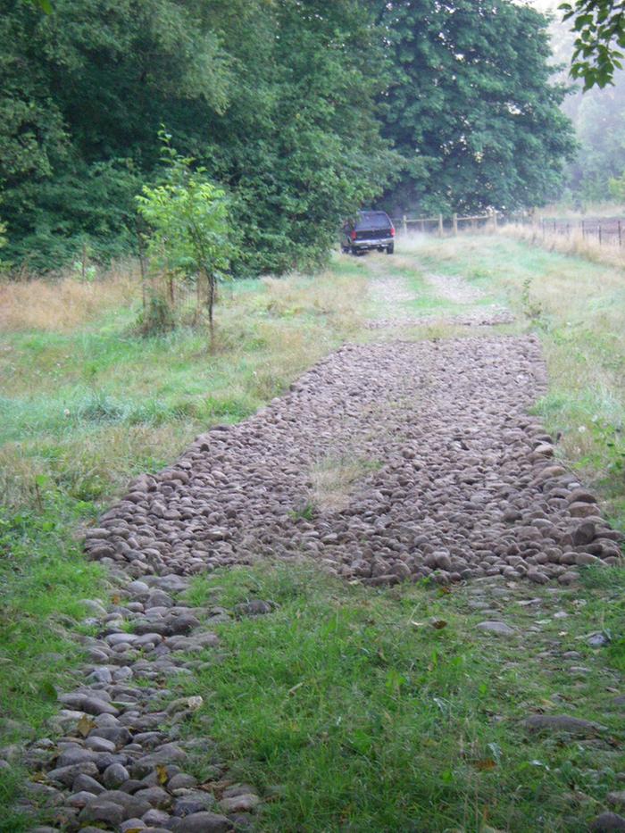 Photo showing reseeded grass regrowth covering disturbed soil, and hand picked rocks along a straight section.