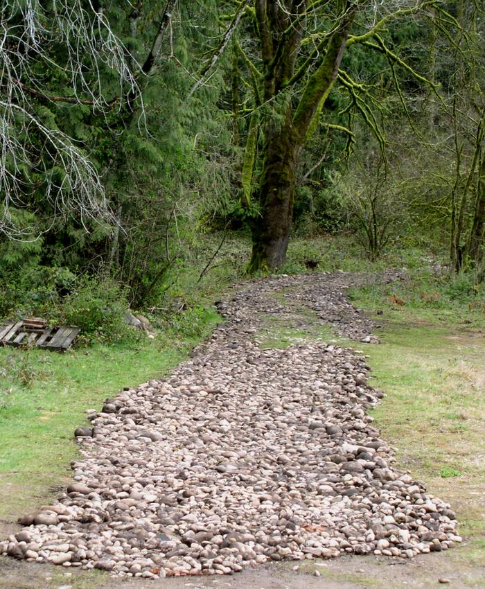 Photo showing reseeded grass regrowth covering disturbed soil, and hand picked rocks near bend in driveway.