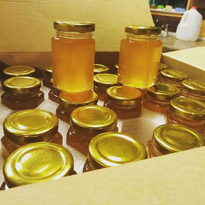 honey jars