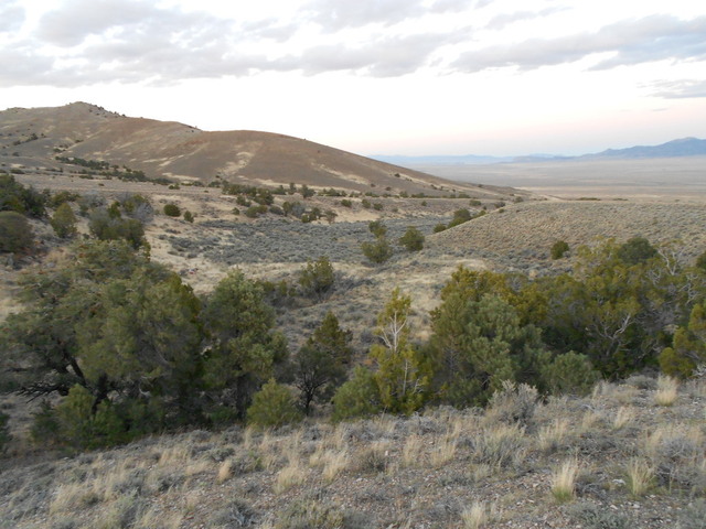 desert view