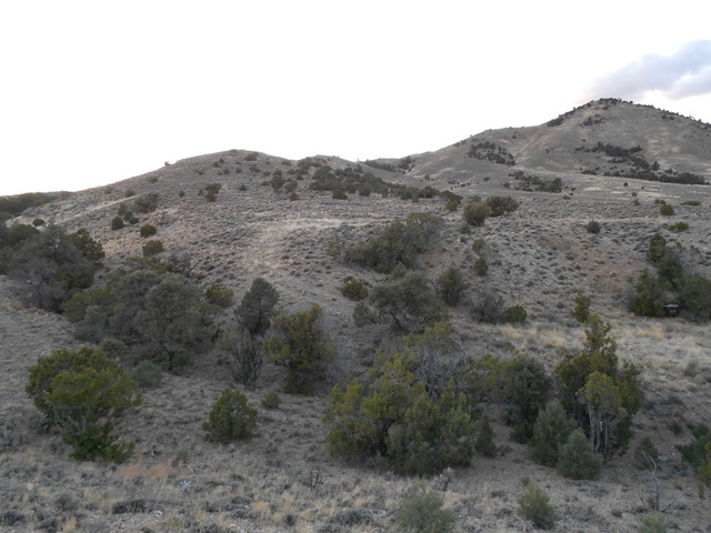 main canyon