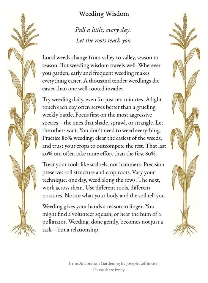 Weeding wisdom