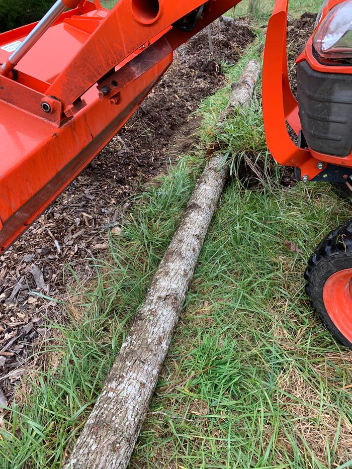 Garden bed wood chips log edge