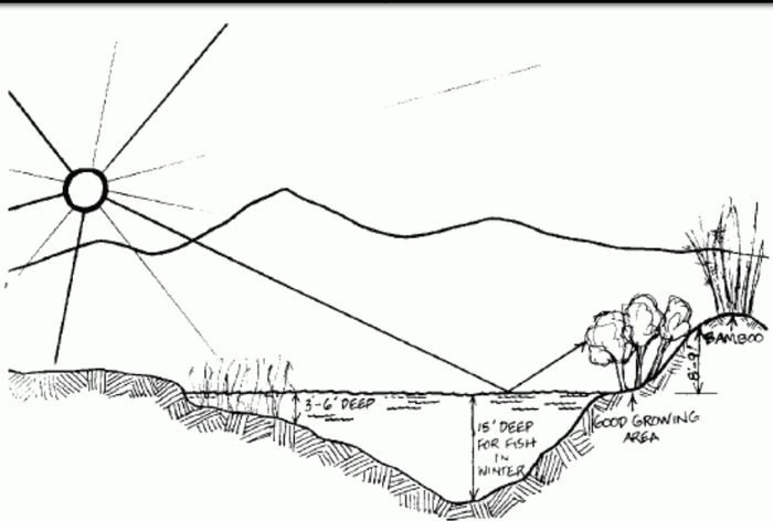 sun trap bank with pond reflecting heat and light
