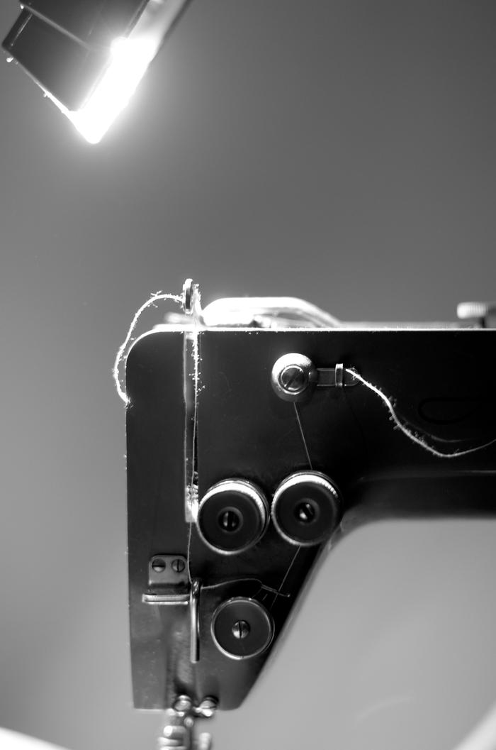 [Thumbnail for DSC_7354.jpg]