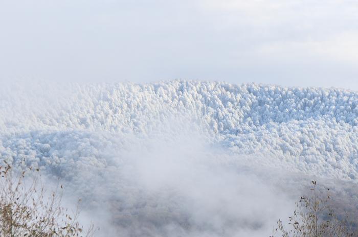 [Thumbnail for DSC_6856.jpg]