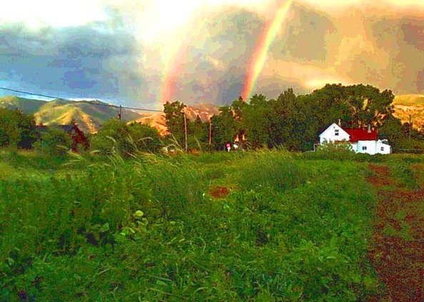 rainbow on farm