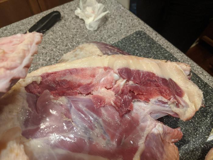 Turkey fat layer