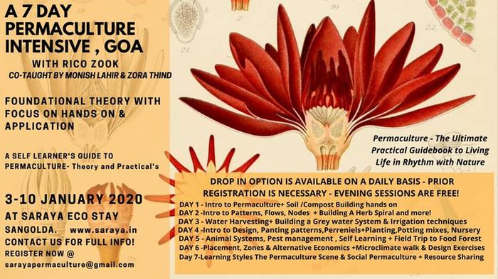 Workshop Flyer - Daily Scheduele