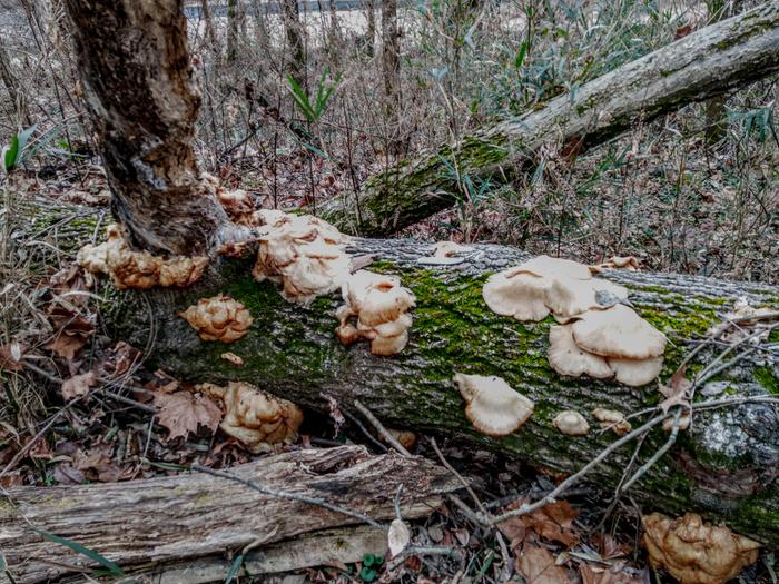 [Thumbnail for IMG_20251207_103548_938-3.jpg]