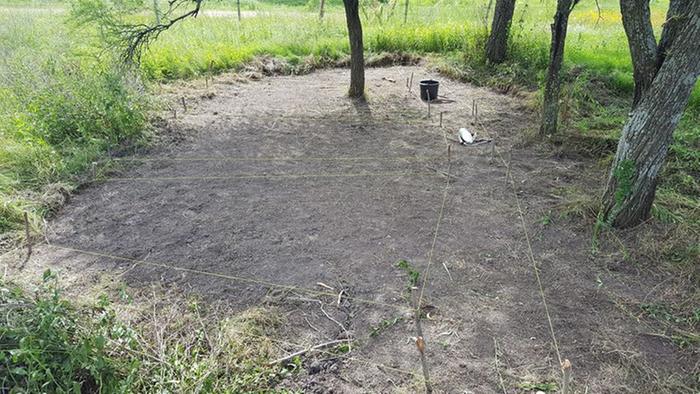 kitchen garden