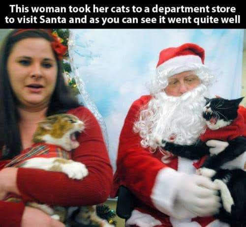 [Thumbnail for santa-and-cats.jpg]