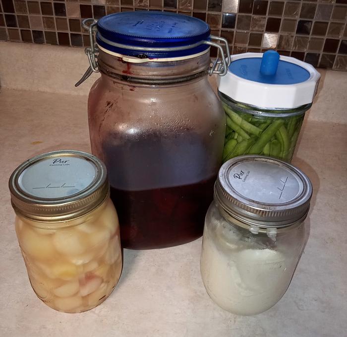 lactofermentation