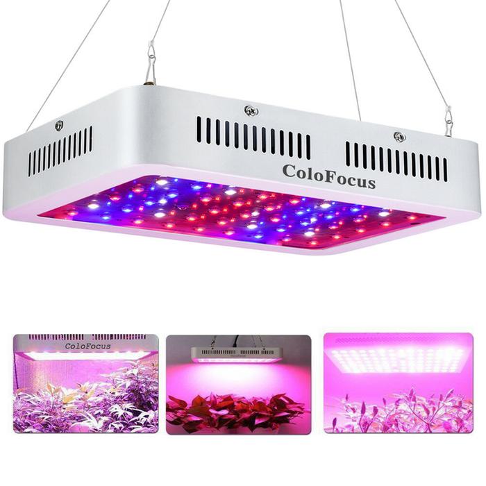 LED grow light
