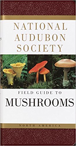 [Thumbnail for Lincoff-_Gary-Audubon_Guide_to_North_American_Mushrooms.jpg]