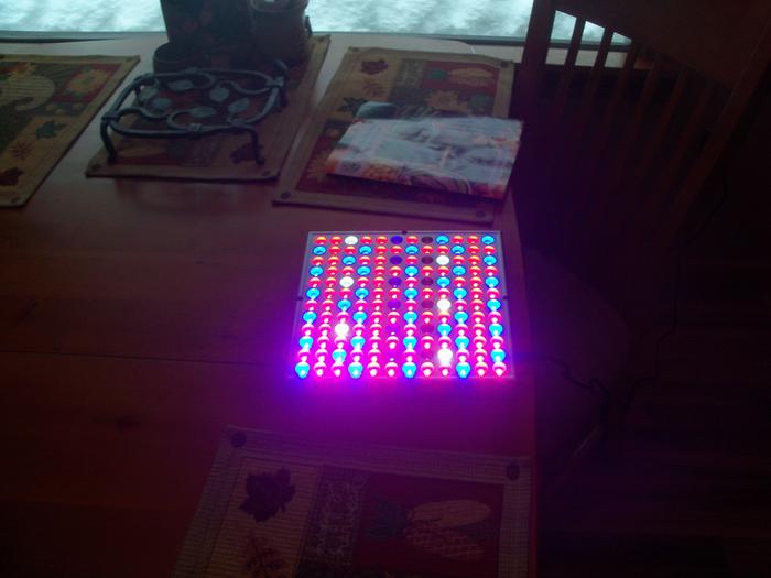 Ooooh, look at the pretty lights!