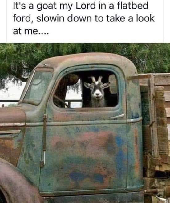 [Thumbnail for FB_IMG_1584830542004.jpg]