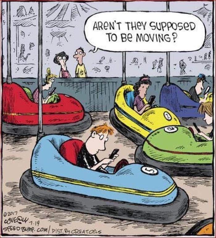 [Thumbnail for bumper-cars.jpg]