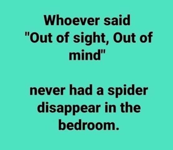 [Thumbnail for spider-bedroom.jpg]