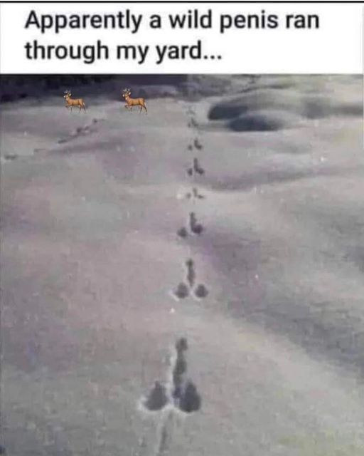 [Thumbnail for wild-penis.jpg]