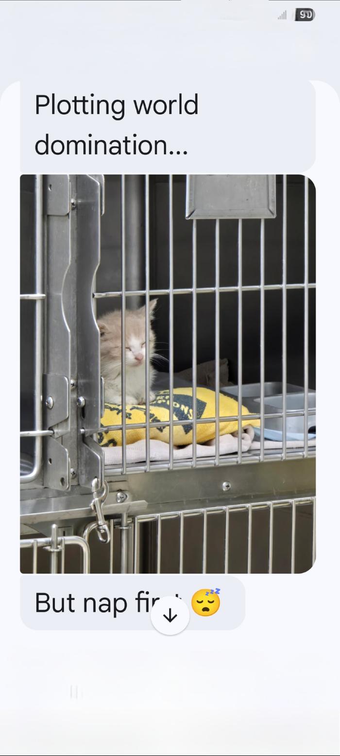 From the vet clinic I work at 